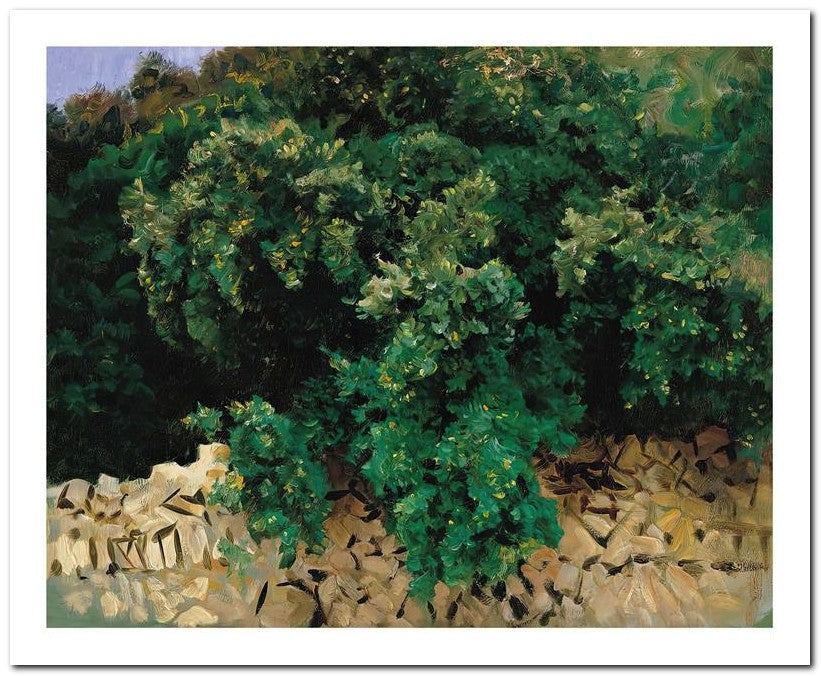 John Singer Sargent 8x10 Fine Art Print 25032501317