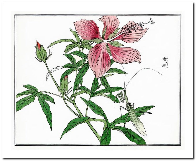 Morimoto Toko 8x10 Fine Art Print 25032501776