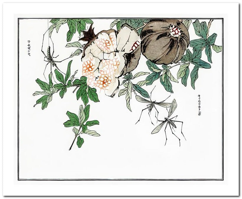 Morimoto Toko 8x10 Fine Art Print 25032501785