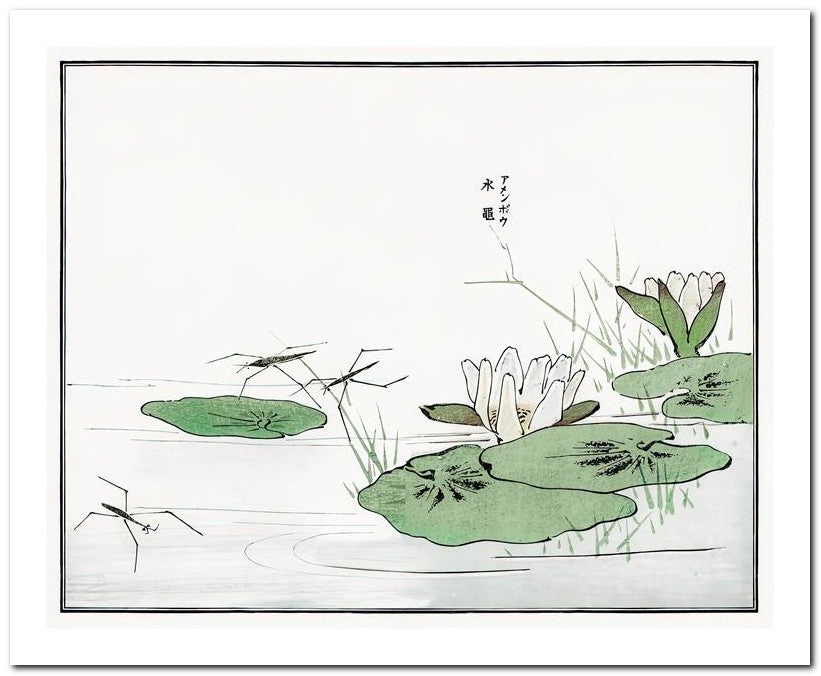 Morimoto Toko 8x10 Fine Art Print 25032501787