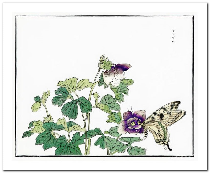 Morimoto Toko 8x10 Fine Art Print 25032501792