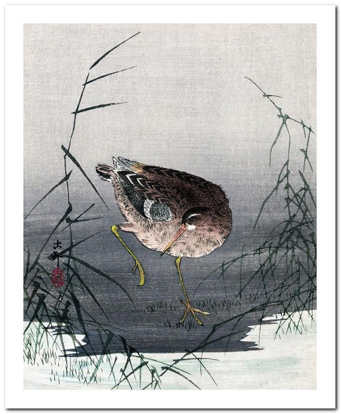 Ohara Koson 8x10 Fine Art Print 25032501908
