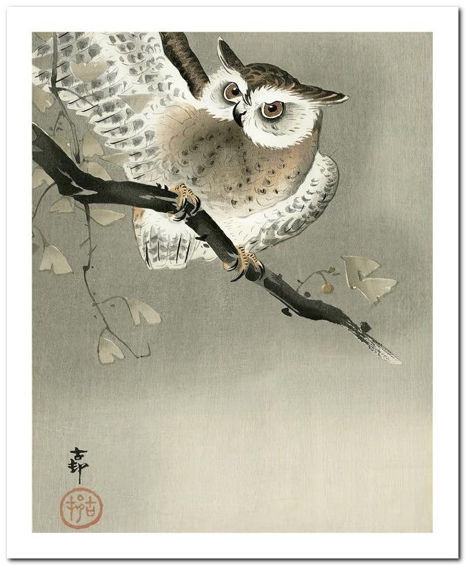 Ohara Koson 8x10 Fine Art Print 25032501921