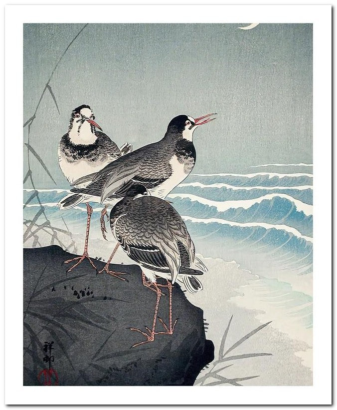 Ohara Koson 8x10 Fine Art Print 25032501922