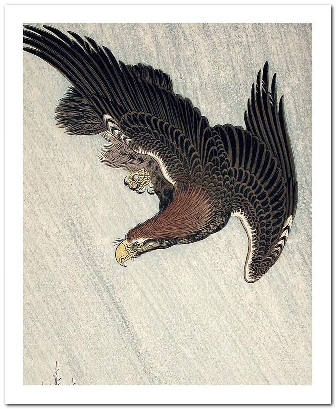 Ohara Koson 8x10 Fine Art Print 25032501928