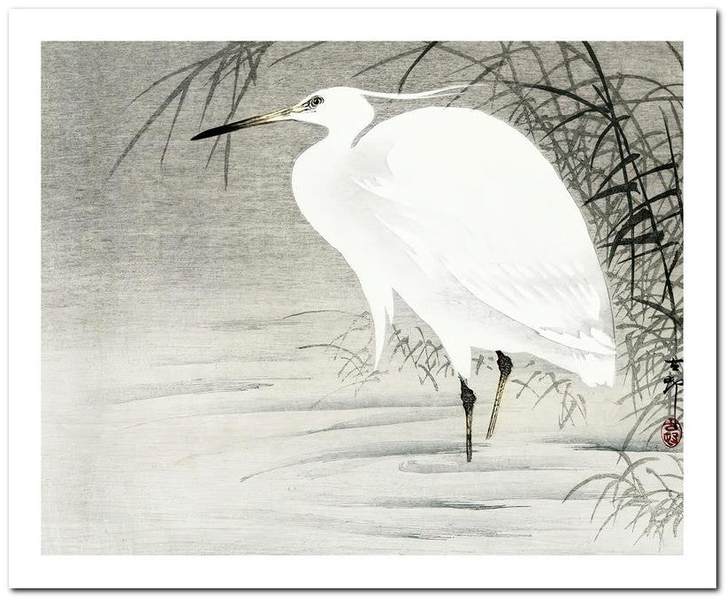 Ohara Koson 8x10 Fine Art Print 25032501932