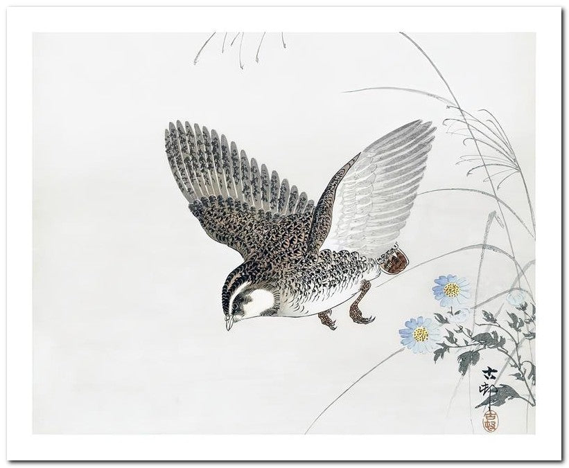 Ohara Koson 8x10 Fine Art Print 25032501933