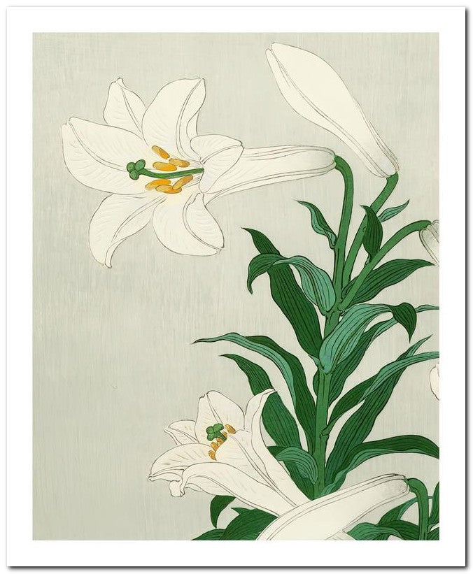 Ohara Koson 8x10 Fine Art Print 25032501943