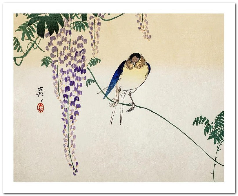 Ohara Koson 8x10 Fine Art Print 25032501945