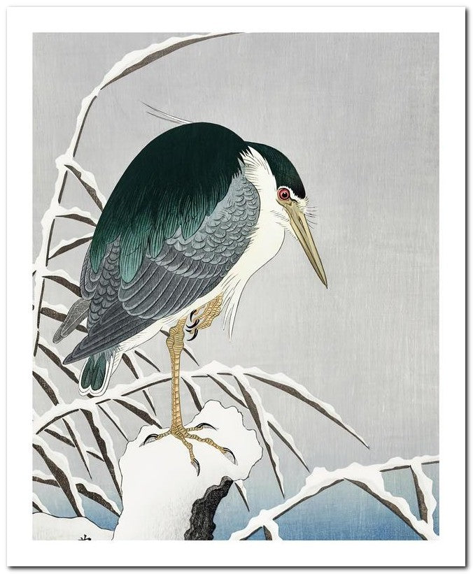 Ohara Koson 8x10 Fine Art Print 25032501960