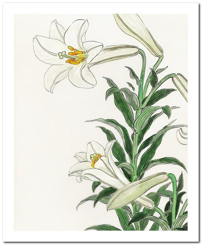 Ohara Koson 8x10 Fine Art Print 25032501966