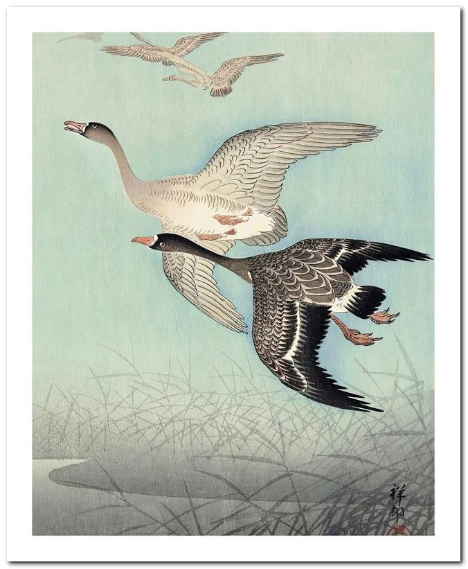 Ohara Koson 8x10 Fine Art Print 25032501969