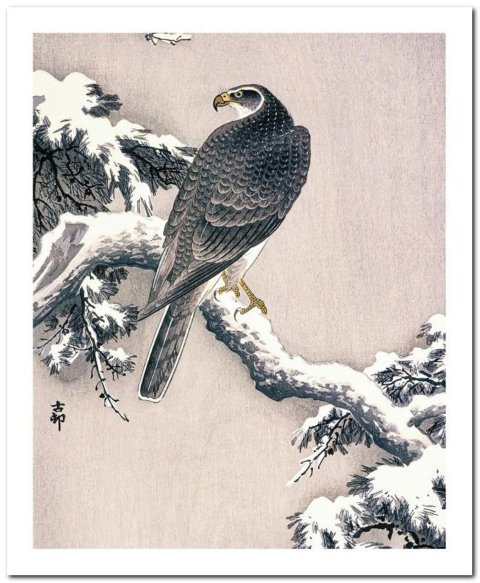 Ohara Koson 8x10 Fine Art Print 25032501975