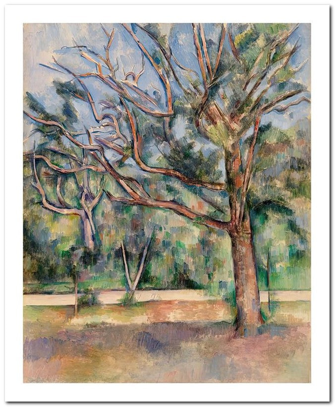 Paul Cezanne 8x10 Fine Art Print 25032502023