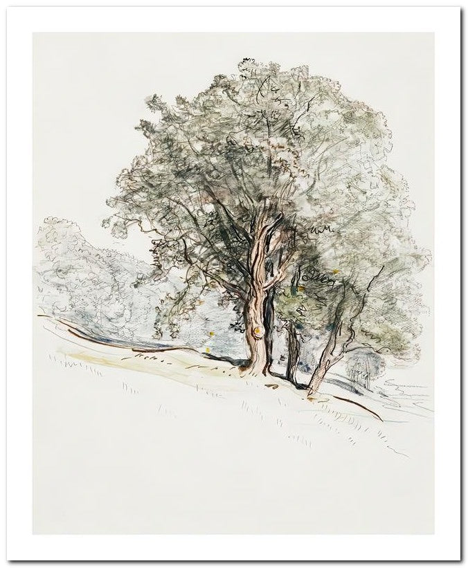 Samuel Colman 8x10 Fine Art Print 25032502525