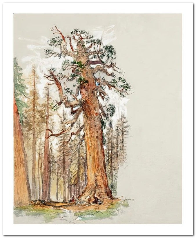 Samuel Colman 8x10 Fine Art Print 25032502526