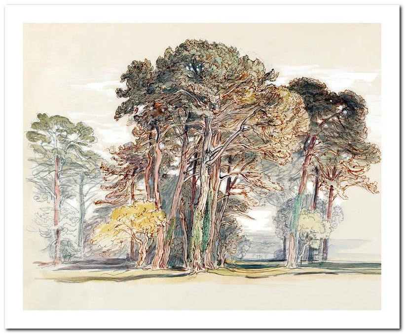 Samuel Colman 8x10 Fine Art Print 25032502543