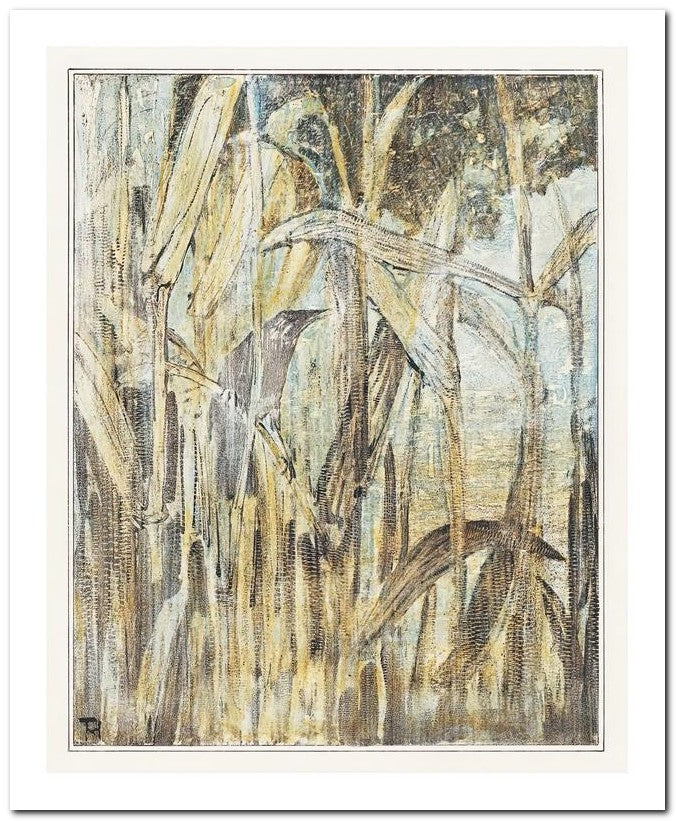 Theo Van Hoytema 8x10 Fine Art Print 25032502581