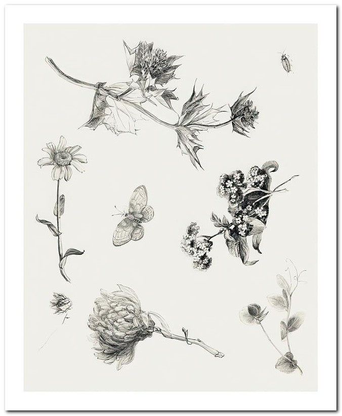 Theo Van Hoytema 8x10 Fine Art Print 25032502603