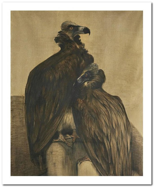 Theo Van Hoytema 8x10 Fine Art Print 25032502614