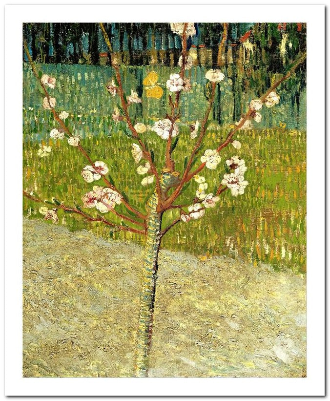 Van Gogh 8x10 Fine Art Print 25032502654