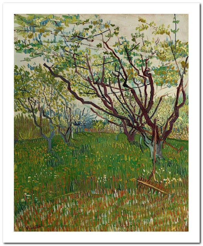 Van Gogh 8x10 Fine Art Print 25032502677