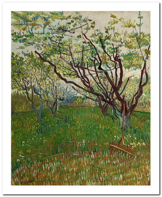 Van Gogh 8x10 Fine Art Print 25032502677