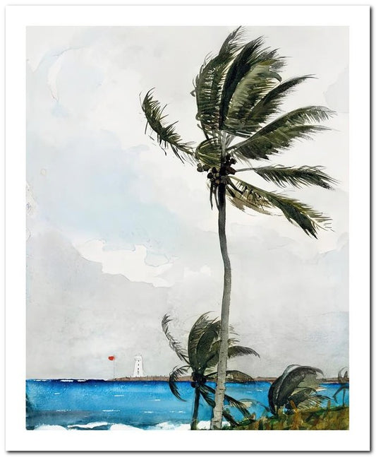 Winslow Homer 8x10 Fine Art Print 25032503017